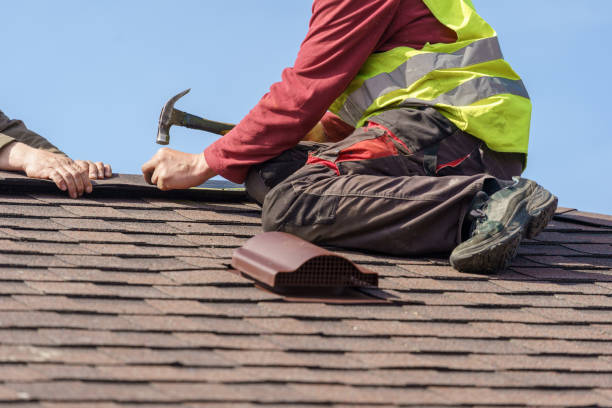 Best Roof Leak Repair  in Mount Olive, IL