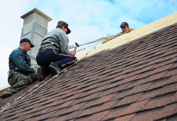 Best Metal Roofing Contractor  in Mount Olive, IL